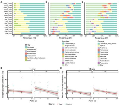 Microbial communities in the liver and brain are informative for postmortem submersion interval estimation in the late phase of decomposition: A study in mouse cadavers recovered from freshwater